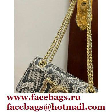 Dolce  &  Gabbana Calfskin 3.5 Chain phone bag Python Print